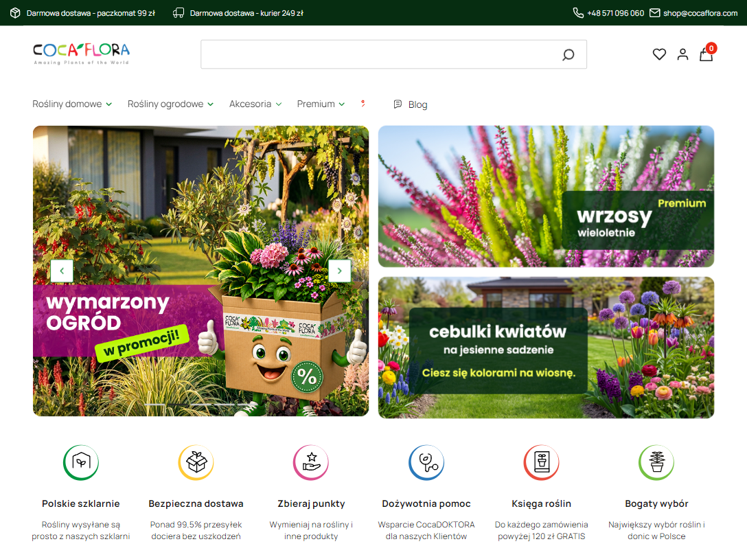 Które kwiaty doniczkowe są najlepsze dla początkujących i zapracowanych osób?